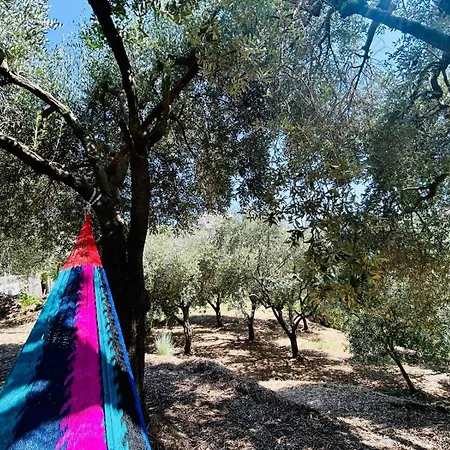 בית נופש Amalfi