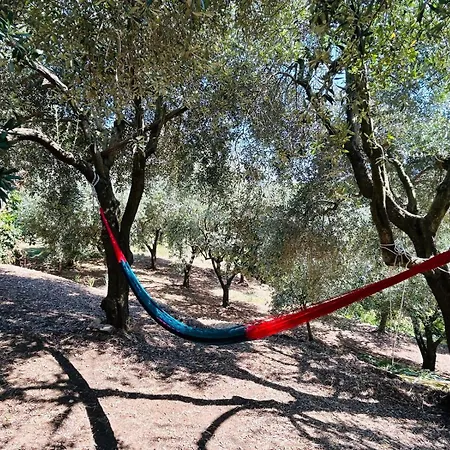 Amalfi